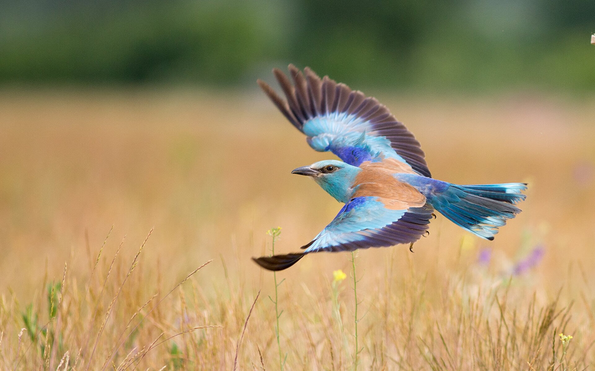 开云网址入口-_智能科幻运动装备：未来已来_，智能科技运动