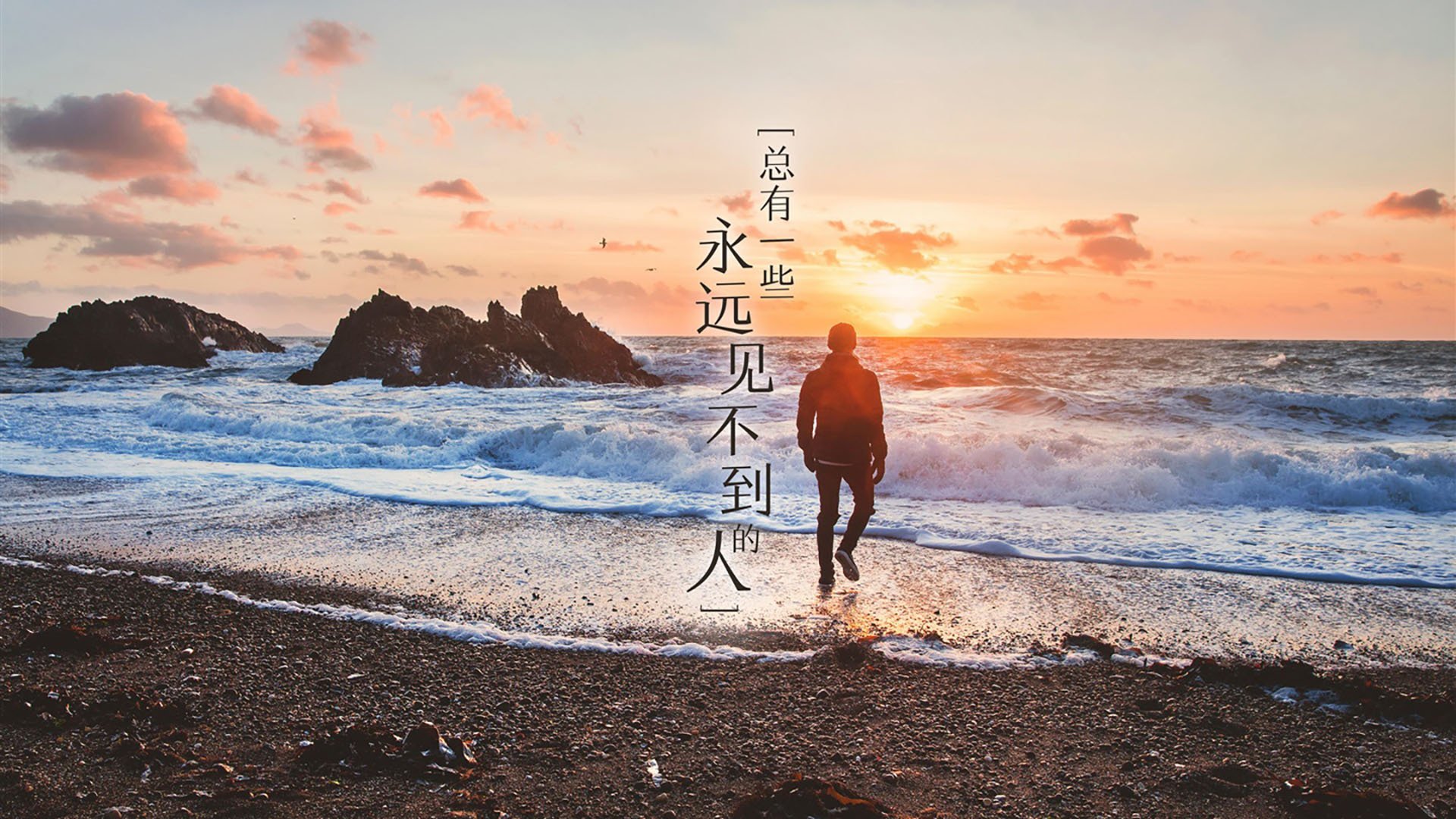 开云网页版-_森林狼战斗精神十足，稳扎稳打_，森林狼kg