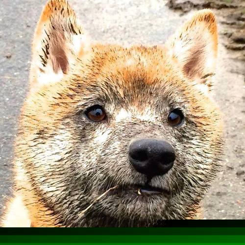 开云全站下载-_水上飞行风暴：速度与美感双赢_，水上飞行器已成为风靡全球的运动