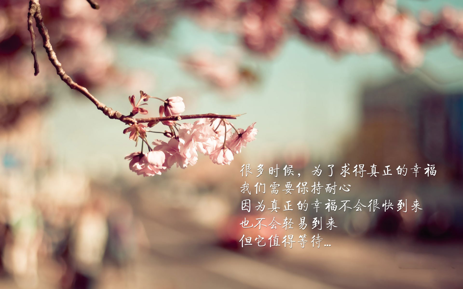 开云体育官方下载-_篮网持续火力，全场压制对手_，篮网引起众怒