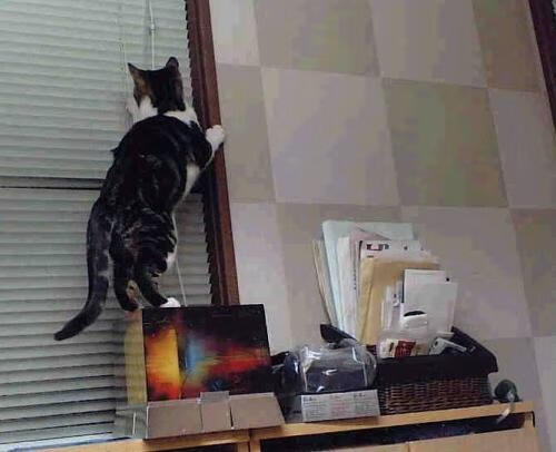 开云官网登录-“法甲激烈竞争，冠军争夺愈发激烈”，法甲冠军2021